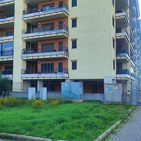 Love Home Apartament Near The Airport Fiumicino Zewnętrze zdjęcie